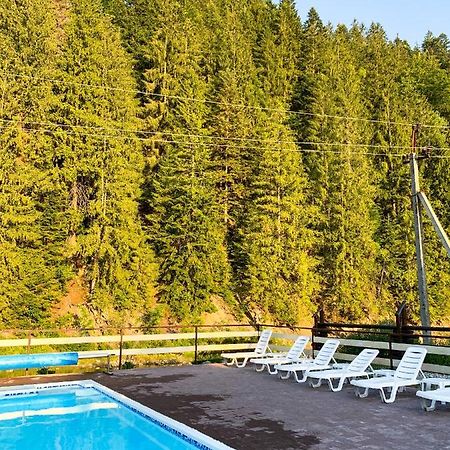 Forest House Tatarów Zewnętrze zdjęcie