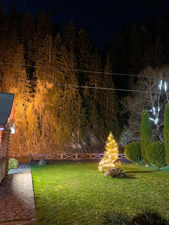 Forest House Tatarów Zewnętrze zdjęcie