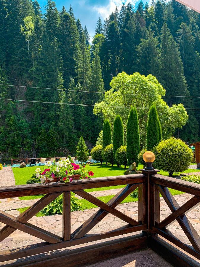 Forest House Tatarów Zewnętrze zdjęcie