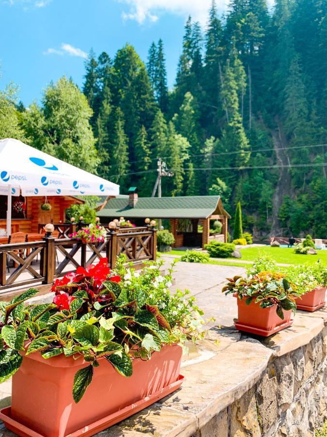 Forest House Tatarów Zewnętrze zdjęcie