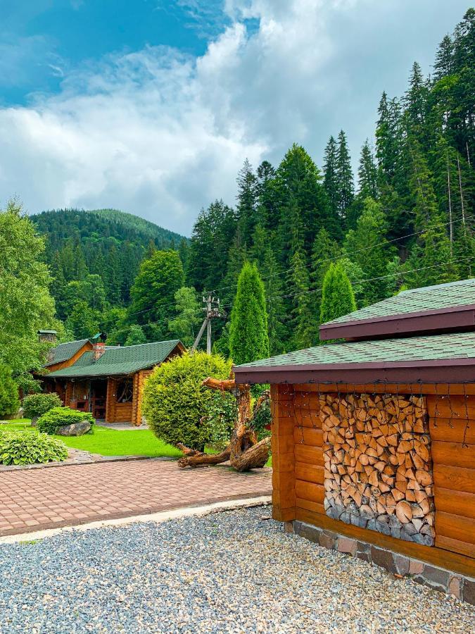 Forest House Tatarów Zewnętrze zdjęcie