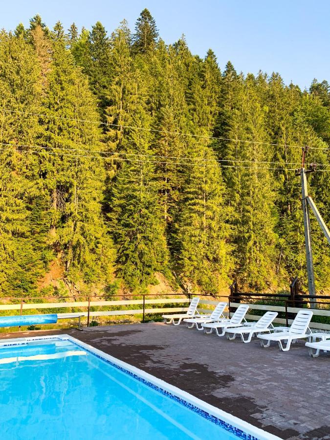 Forest House Tatarów Zewnętrze zdjęcie
