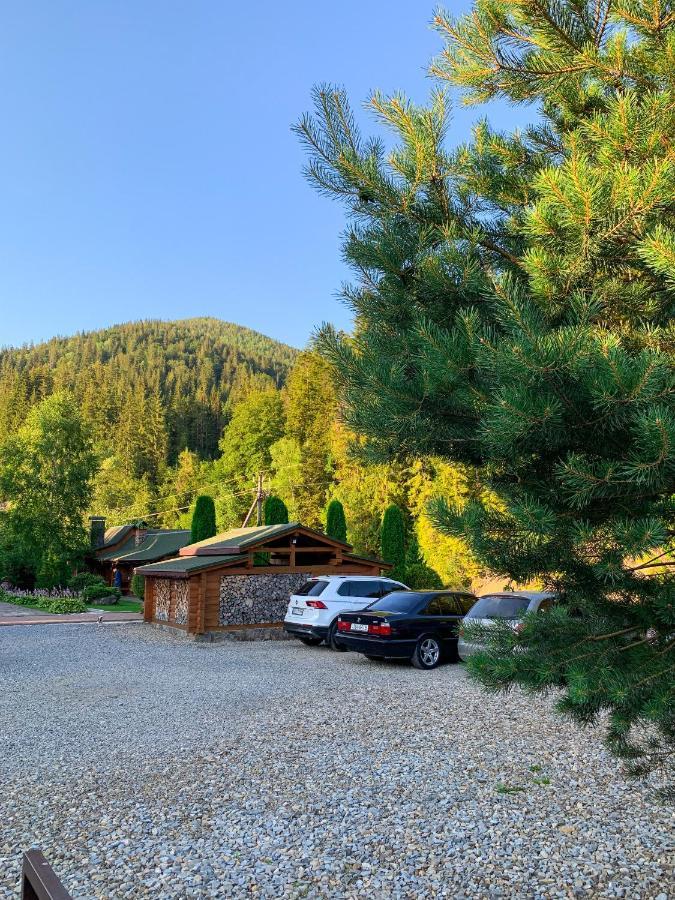 Forest House Tatarów Zewnętrze zdjęcie