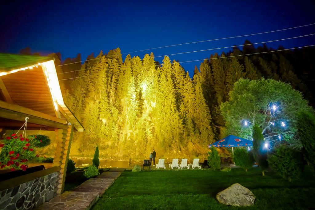 Forest House Tatarów Zewnętrze zdjęcie